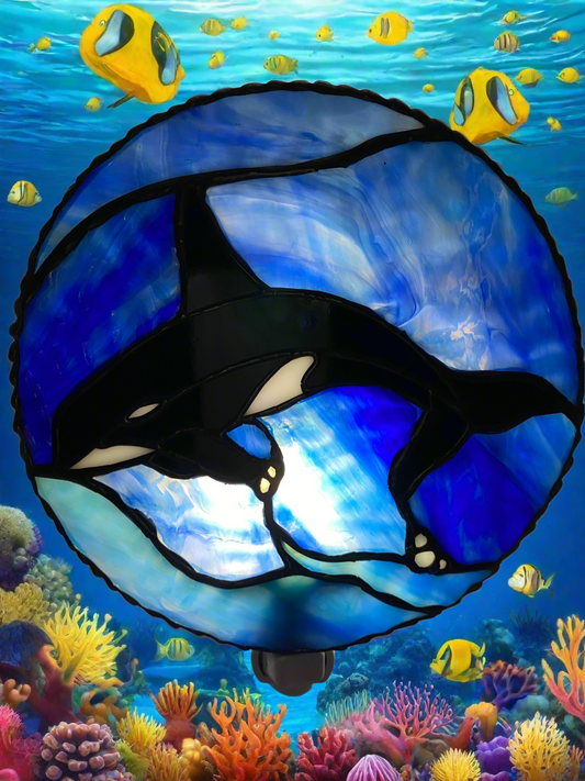 Nakai the Killer Whale Night Light