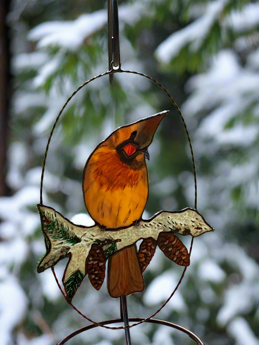 Winter Cardiinal