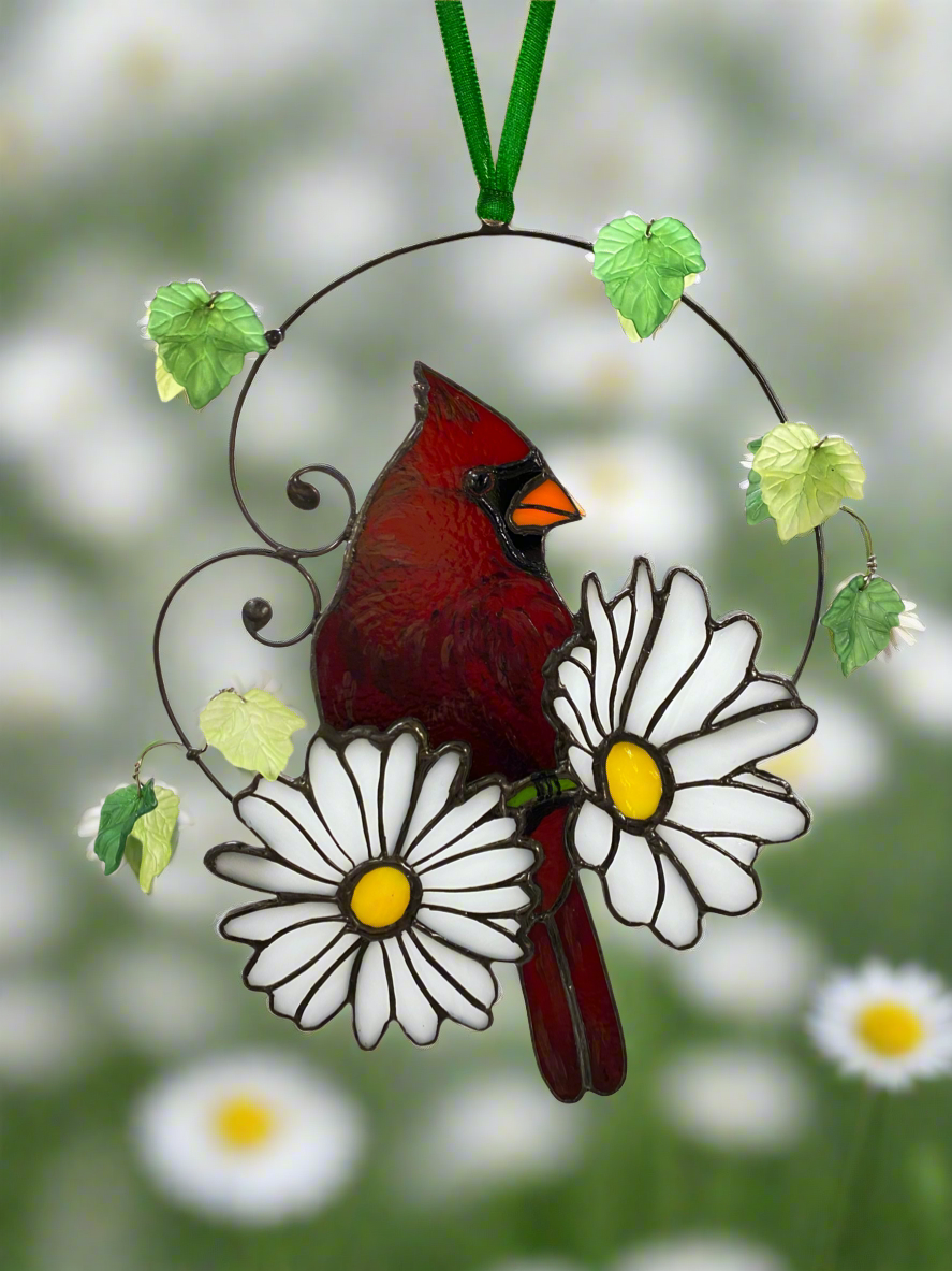 Cardinal with Daisies