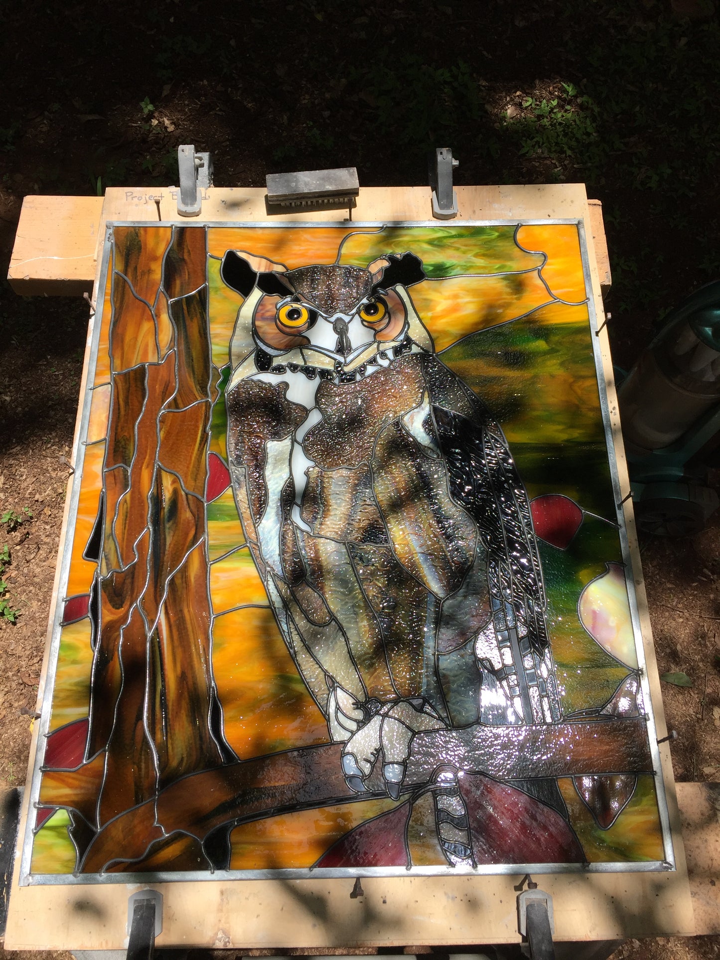 Great Horned Owl