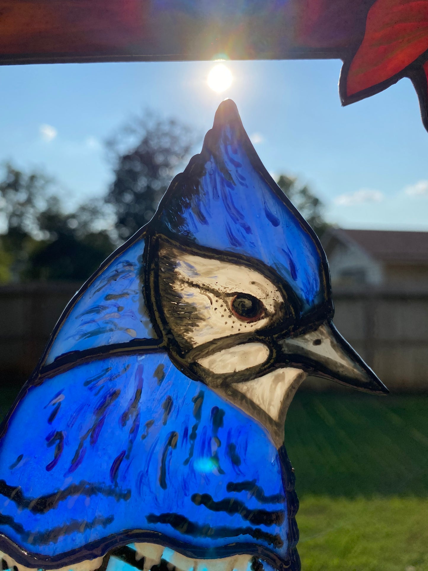 Autumn Cabin Blue Jay