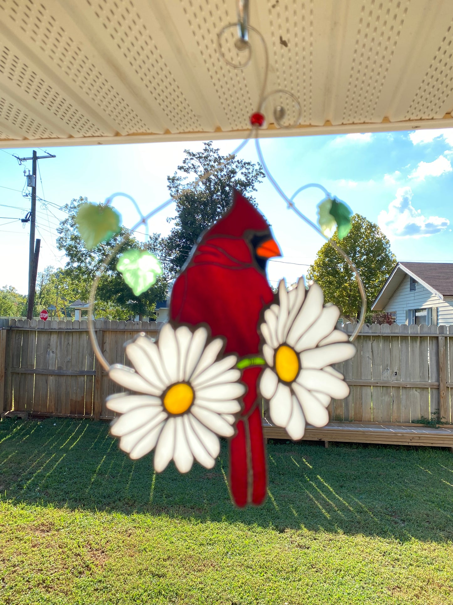 Cardinal with Daisies