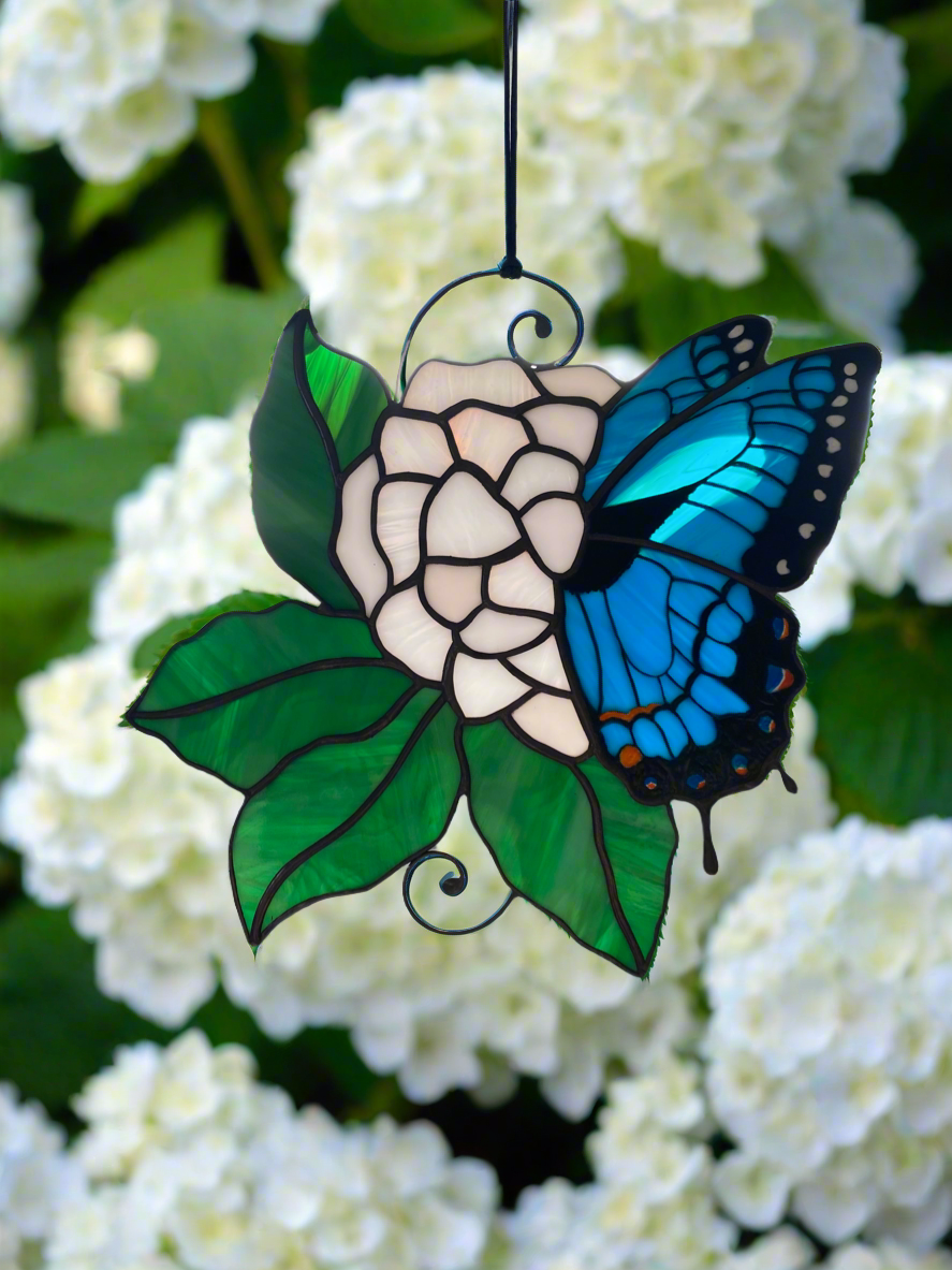 Blue Swallowtail Butterfly and Hydrangea