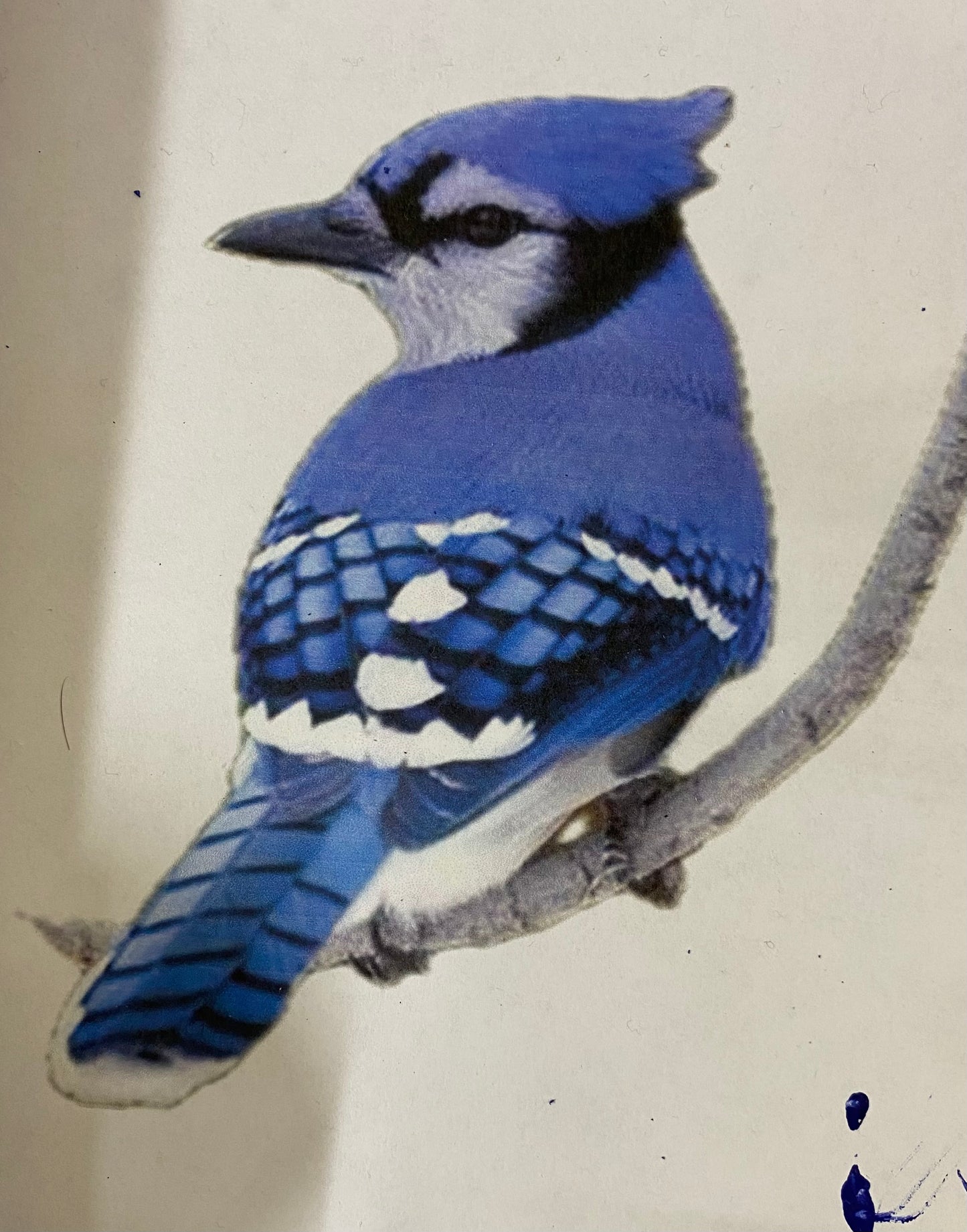 Blues of Spring Nightlight