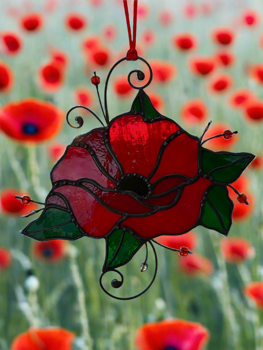 Red Oriental Poppy