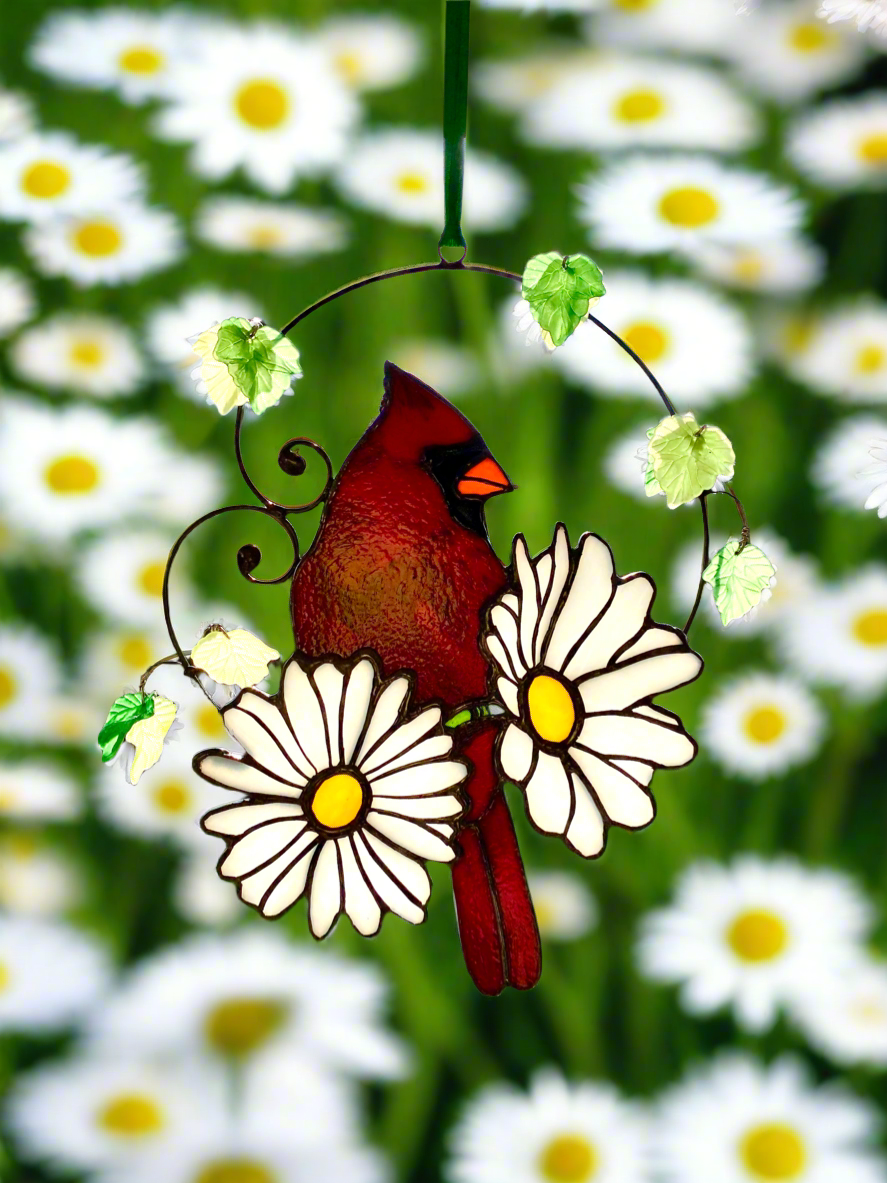 Cardinal with Daisies
