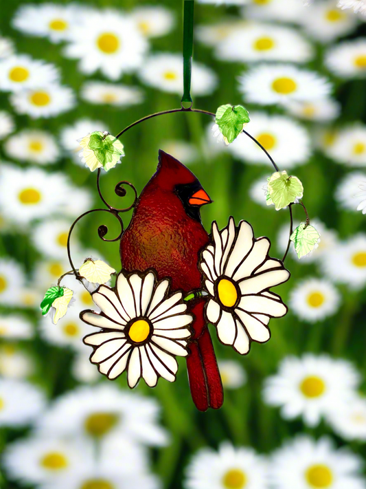 Cardinal with Daisies