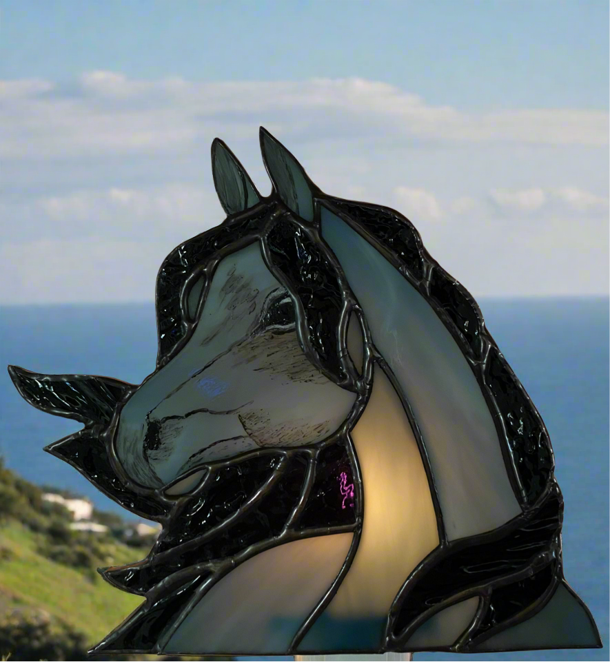 Horse in the Wind Nightlight