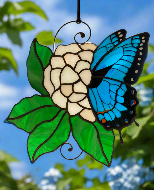 Blue Swallowtail Butterfly and Hydrangea