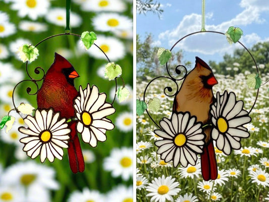 Cardinal with Daisies